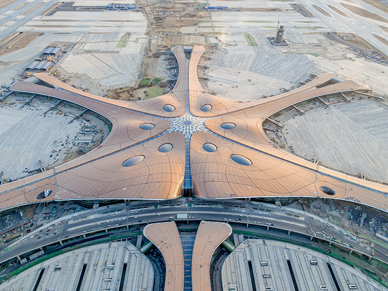 北京大兴国际机场鸟图